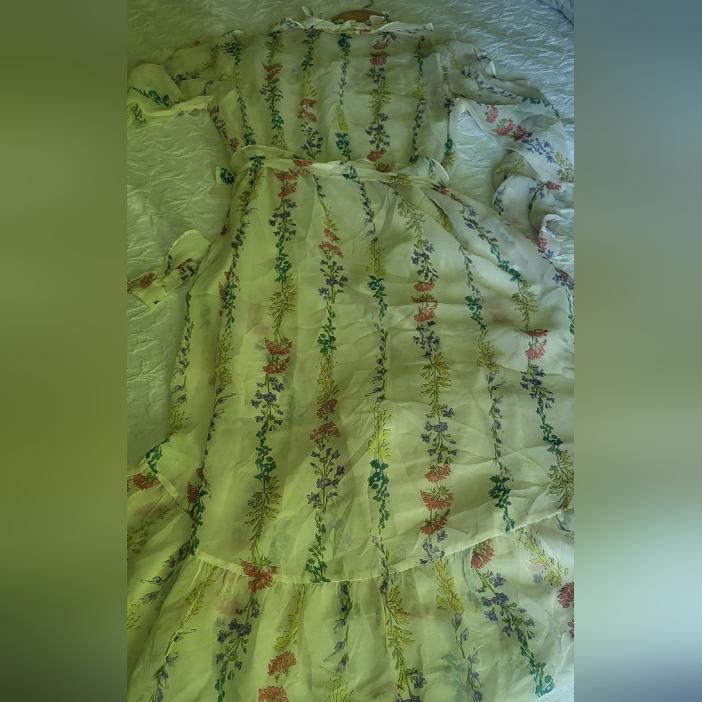 BCBGMaxAzria Cream Sheer Tiered Sundress with Bishop Sleeves - Picture 10 of 13